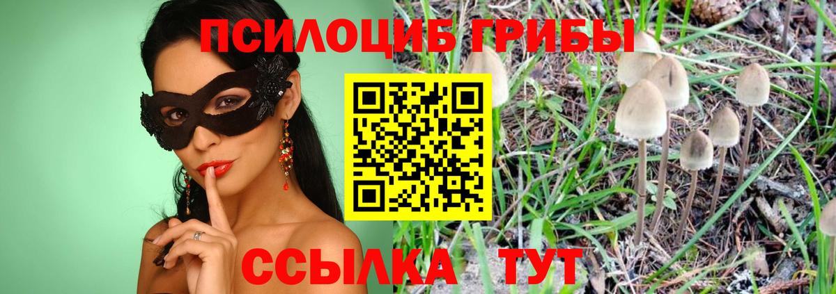 Псилоцибиновые грибы Psilocybe Ялта